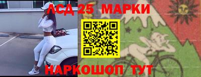 прущие грибы Коммунар